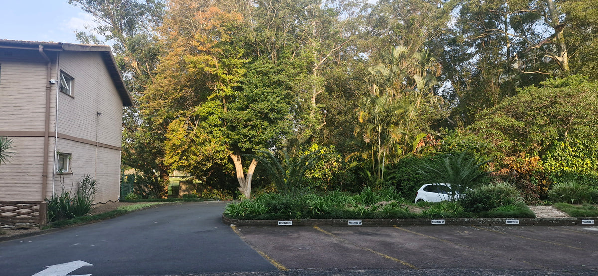 3 Bedroom Apartment,  Central Pinetown