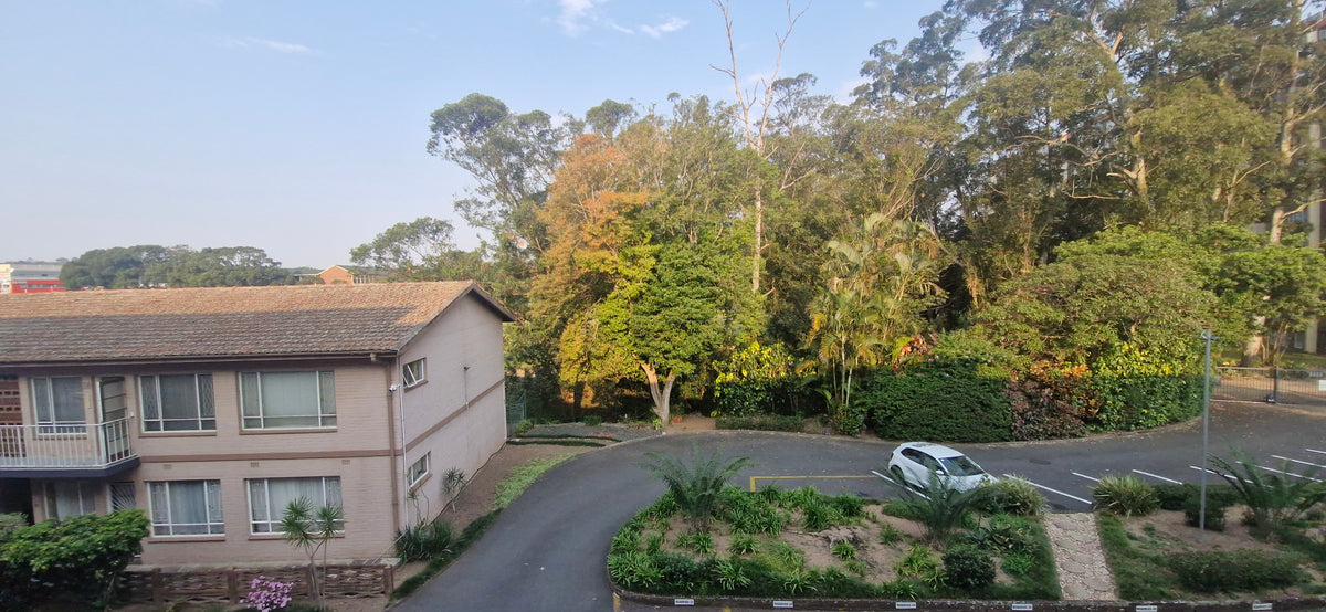 3 Bedroom Apartment,  Central Pinetown