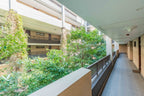 Ground Floor Apartment, Zimbali
